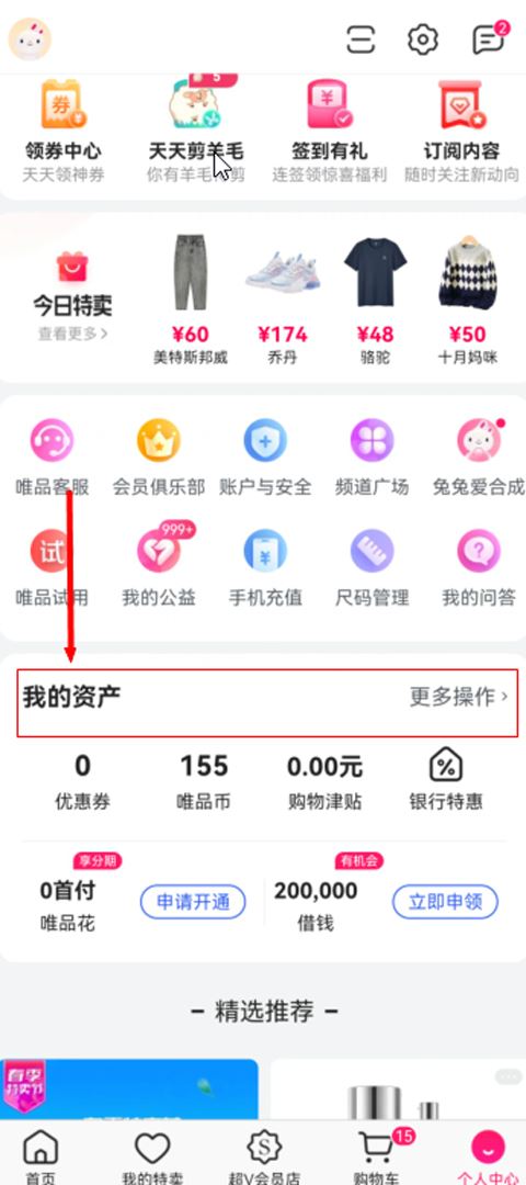 唯品会(图2)