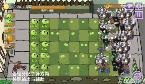 植物大战僵尸元素版(图1)