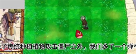 小鸟植物杂交版(图2)