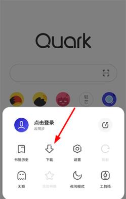 夸克(图10)