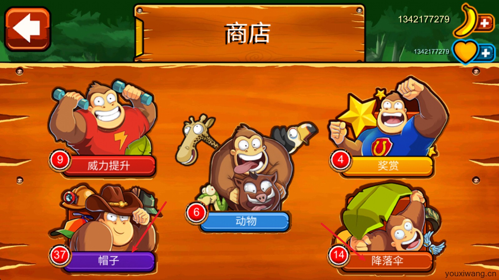 香蕉金刚(图12)