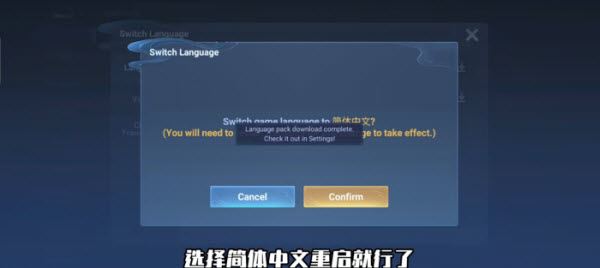 王者荣耀国际服(图10)