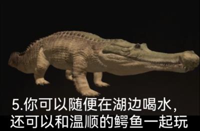 泰坦之路国际服(图16)