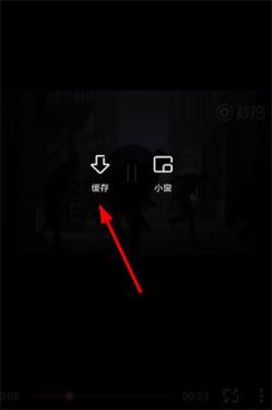 夸克(图9)