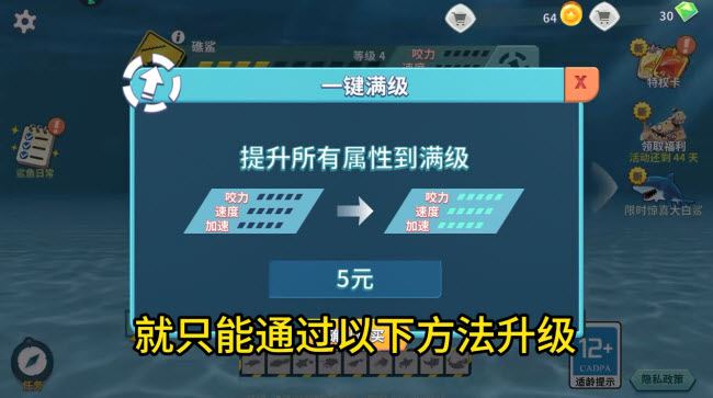 饥饿鲨进化国际版(图11)