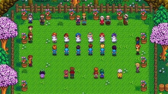 Stardew valley(图16)
