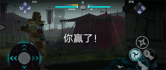 暗影格斗3国际服(图14)