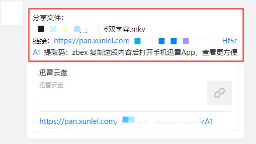 迅雷网盘(图4)