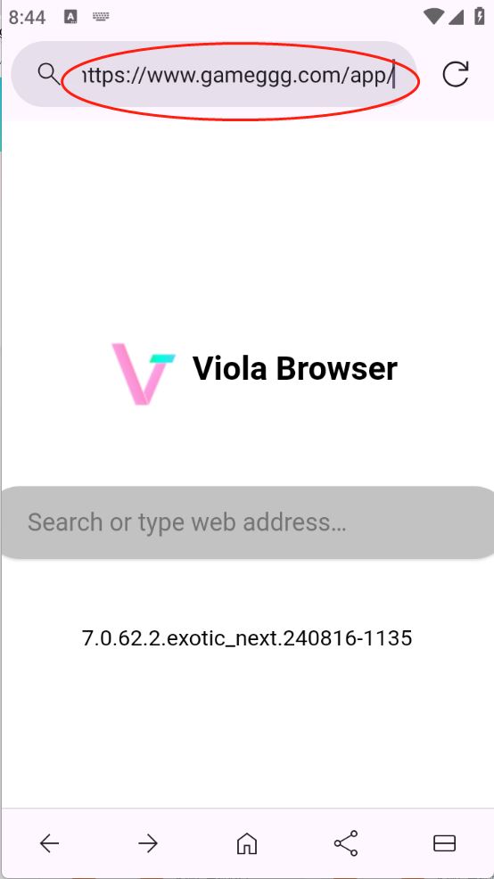 Viola Next(图1)