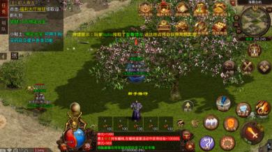 鼎龙传世(图1)