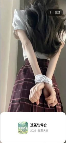 凉茶软件仓(图1)