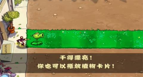 植物大战僵尸黑西游版(图2)