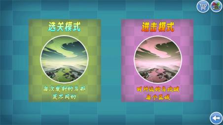 我的鸟随机版(图2)