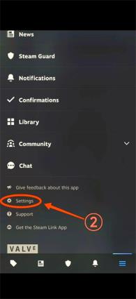steam(图3)
