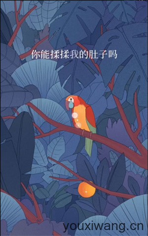 孤独的鸟儿(图4)