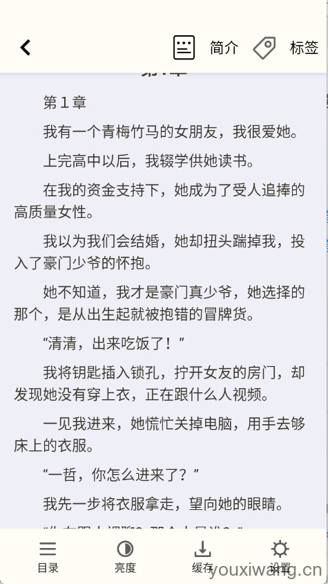 轻文阁(图4)