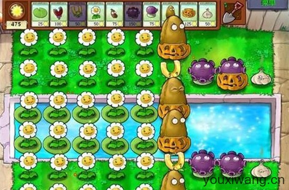 植物大战僵尸1经典版(图11)