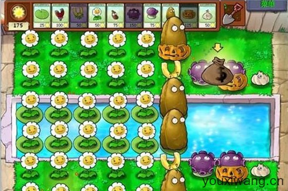 植物大战僵尸1经典版(图12)