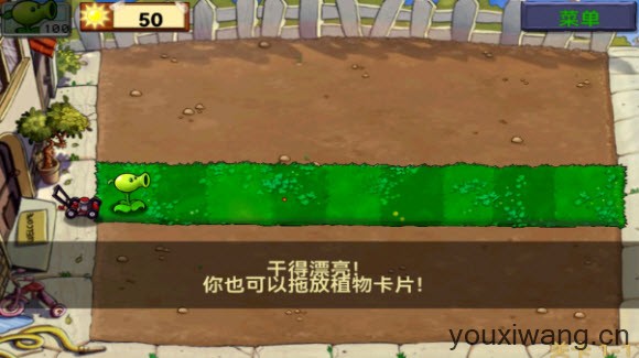 植物大战僵尸1经典版(图7)