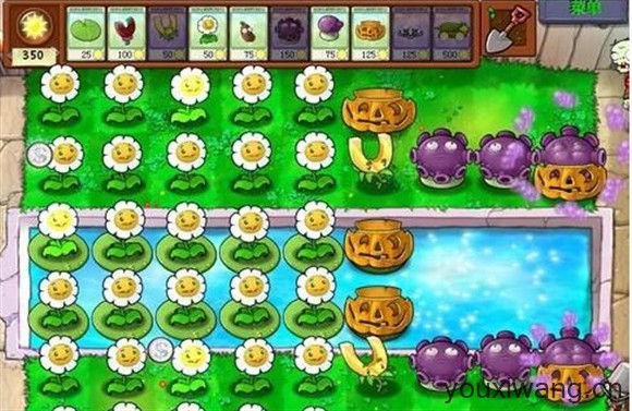 植物大战僵尸1经典版(图8)