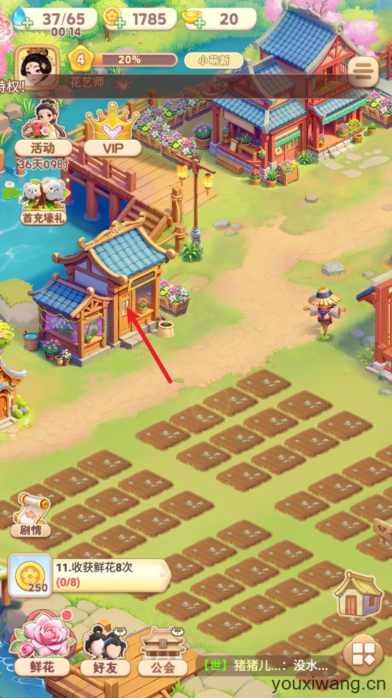 我的花园世界(图11)