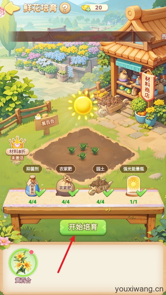 我的花园世界(图13)
