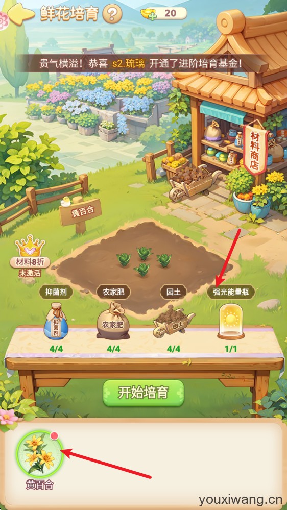 我的花园世界(图12)