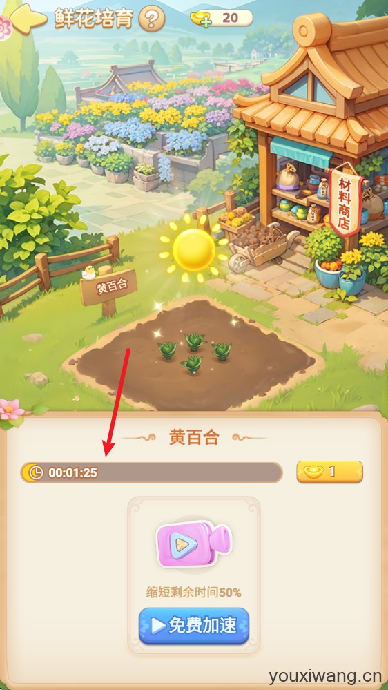 我的花园世界(图14)