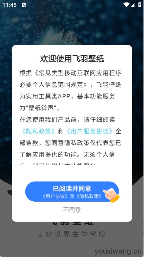 飞羽壁纸(图1)