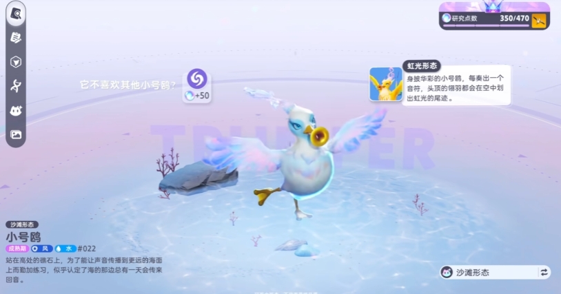 伊莫小号鸥全方位解析