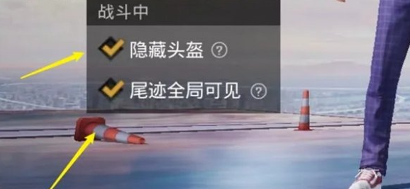 和平精英隐藏头盔方法步骤详解(图4)