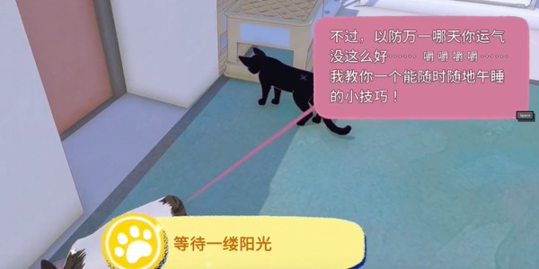 《小猫咪大城市》快速午睡动作获取全攻略(图6)