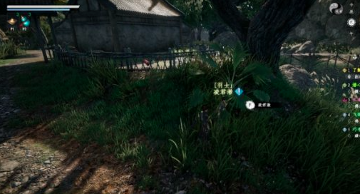 【下一站江湖2】羽士角色培养指南(图1)