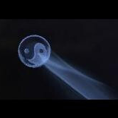 《美女请别影响我成仙》成就与结局解锁指南