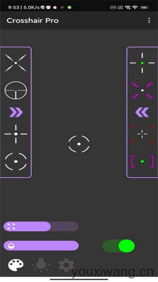crosshair pro(图1)