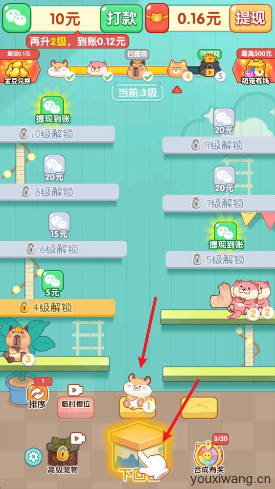 萌宠有福(图5)