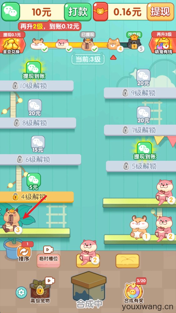 萌宠有福(图3)