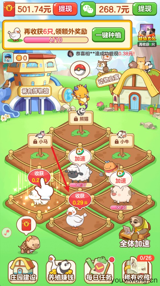 福运萌宠(图3)