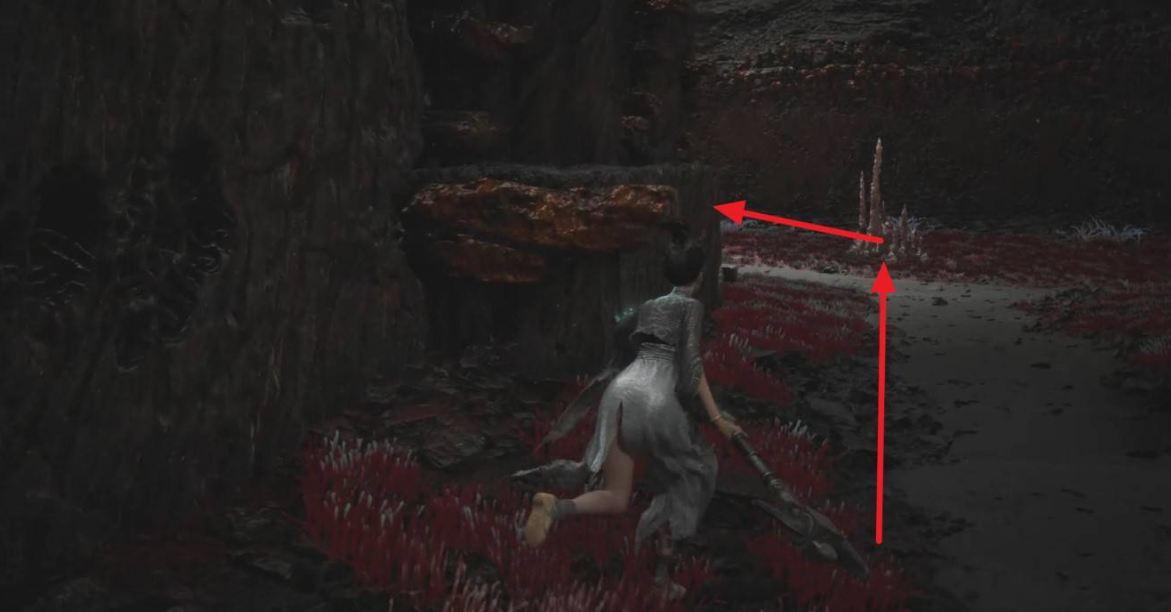 《明末渊虚之羽》僰人古都机关门全攻略