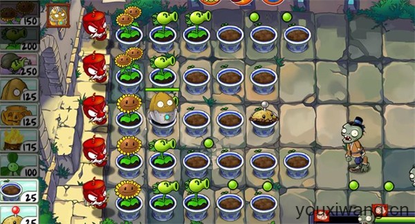 植物大战僵尸精华版最新版(图4)