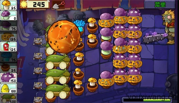 植物大战僵尸精华版最新版(图12)