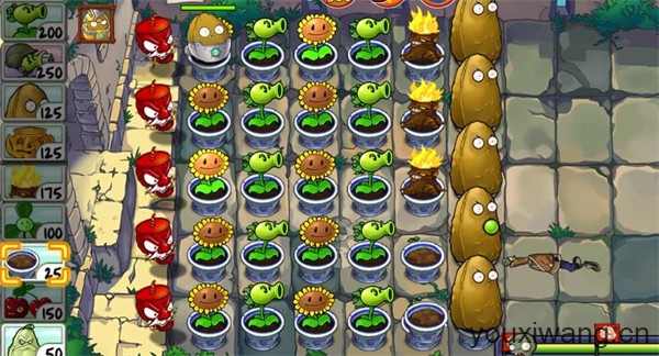 植物大战僵尸精华版最新版(图5)