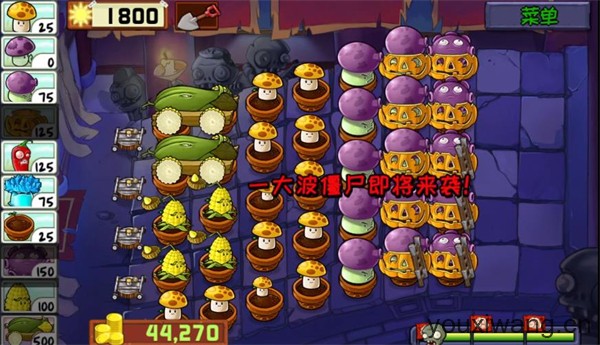 植物大战僵尸精华版最新版(图11)