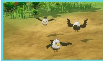 口袋新旅途颓颓鹰捕捉全攻略｜飞行系幻兽的精准制胜法