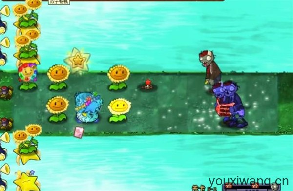 植物大战僵尸杨桃版(图1)