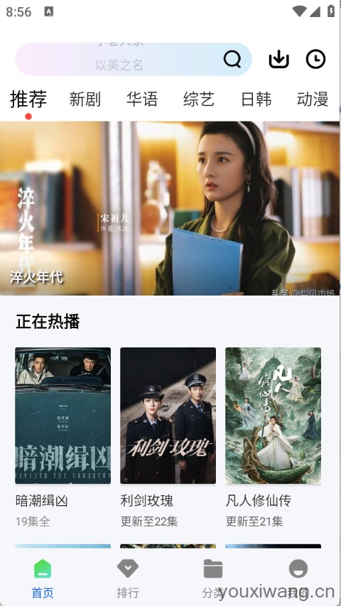 森林视频(图2)