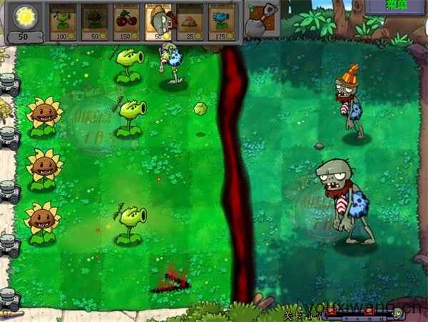 植物大战僵尸原始版(图4)