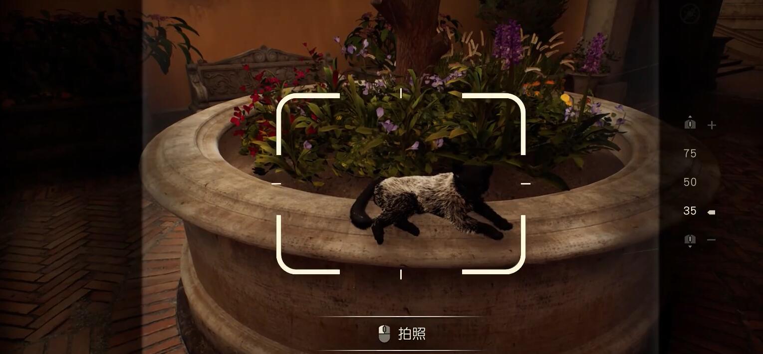 《夺宝奇兵：古老之圈》”自由的灵魂”谜题图文攻略(图16)