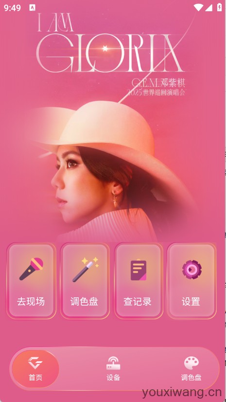 邓紫棋应援棒(图1)