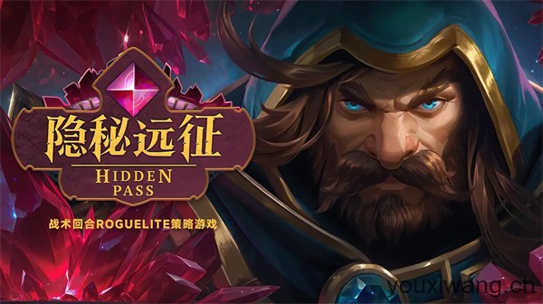 隐秘远征(图1)